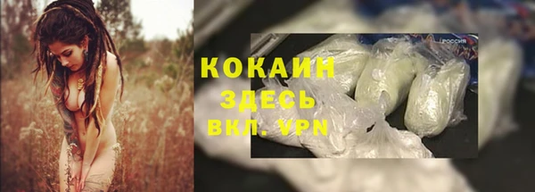 дурь Богданович
