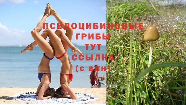 дурь Богданович