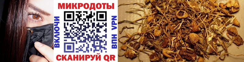 Псилоцибиновые грибы GOLDEN TEACHER  kraken зеркало  Острогожск 